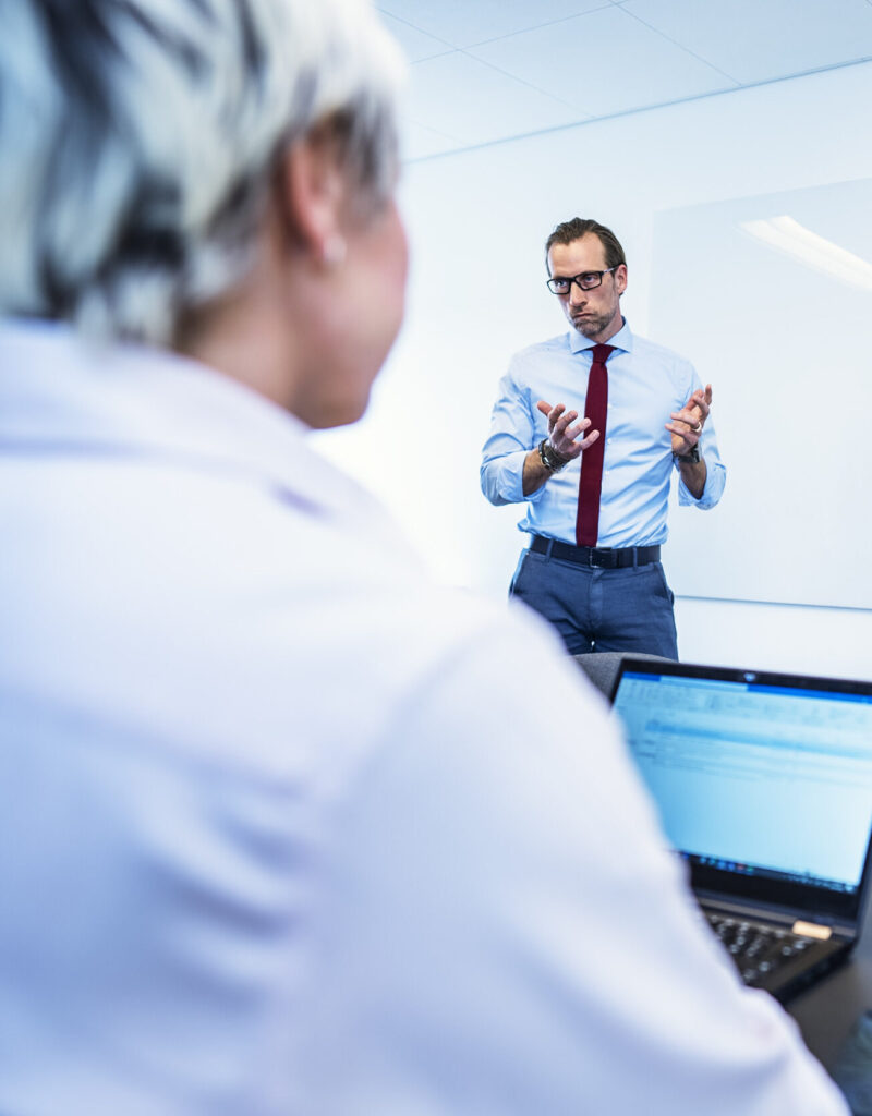 Starthjælp (CEO mentoring) i Vejle
